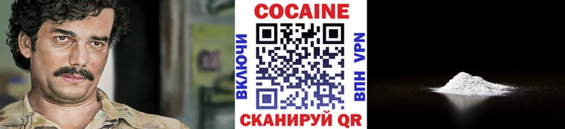Купить закладки  Богородск  COCAIN 98% 